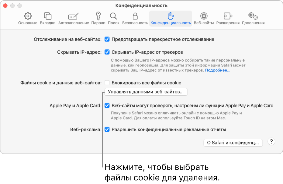Панель «Конфиденциальность» в настройках Safari.
