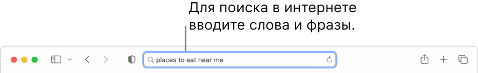 Поле смарт‑поиска Safari, в котором можно ввести слова и фразы для интернет-поиска.