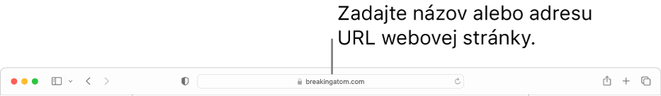 Pole dynamického vyhľadávania v Safari, do ktorého môžete zadať názov alebo URL adresu webovej stránky.