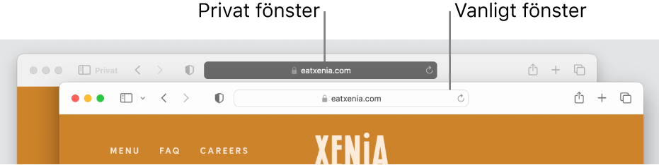 Ett privat Safari-fönster med ett mörkt smart sökfält och ett vanligt Safari-fönster med ett ljust smart sökfält.
