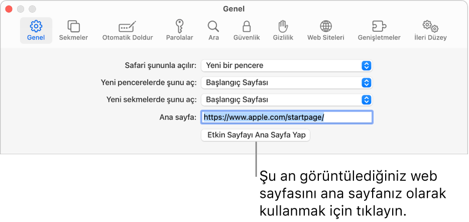 Safari ayarlarının Genel bölümü; Ana Sayfa alanı seçili.