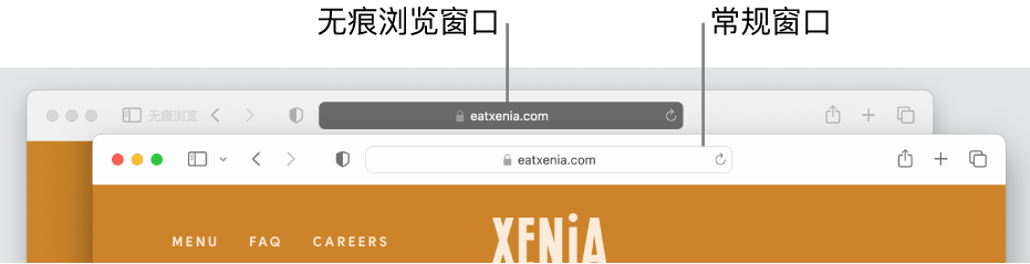 Safari 浏览器的无痕浏览窗口，包含深色的智能搜索栏；常规的 Safari 浏览器窗口，包含浅色的智能搜索栏。