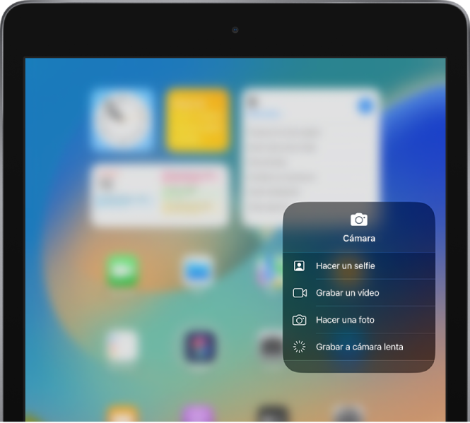 desconectado Descenso repentino paso Utilizar y personalizar el centro de control en el iPad - Soporte técnico  de Apple (ES)