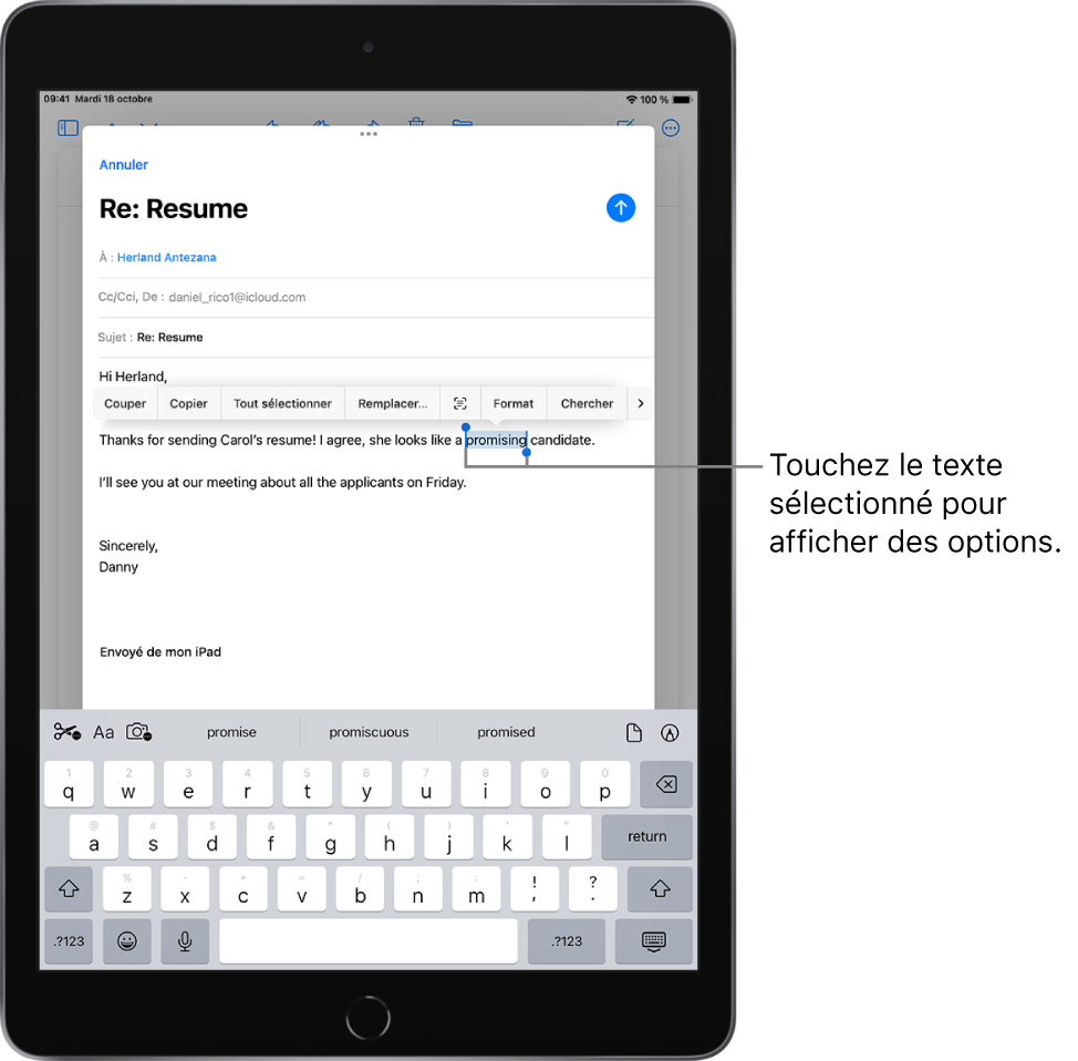 Sélectionner, couper, copier et coller du texte sur l’iPad Assistance