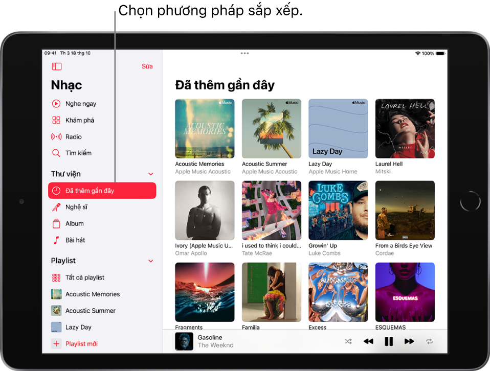 Bộ phận hỗ trợ của Apple (VN)