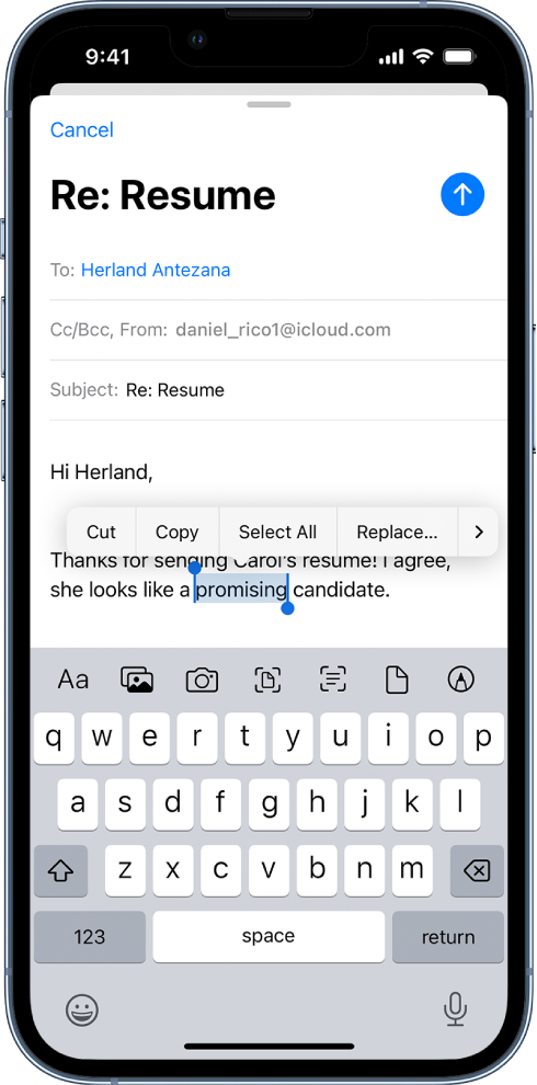 A sample email message with some of the text selected. Above the selection are the Cut, Copy, Paste, and Replace buttons. The selected text is highlighted, with handles at either end.