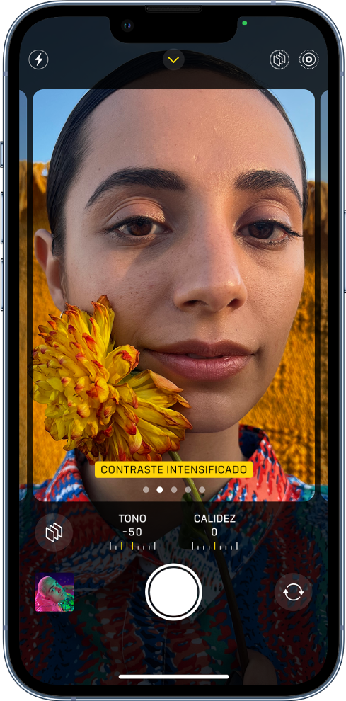 carpeta Analítico exposición Aplicar estilos fotográficos con la cámara del iPhone - Soporte técnico de  Apple (US)
