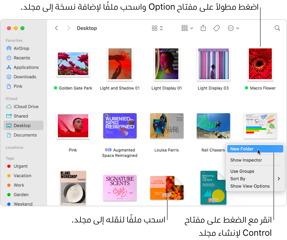 نافذة فايندر تحتوي على ملفات ومجلدات. في قائمة الاختصارات، تم تمييز خيار مجلد جديد.