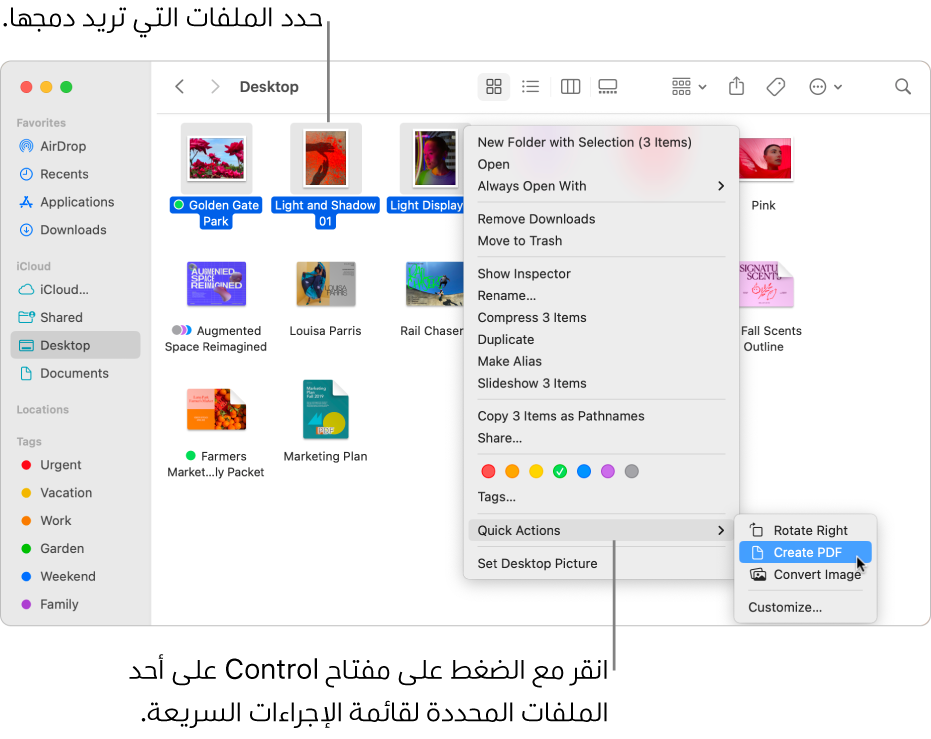 نافذة فايندر تحتوي على ملفات ومجلدات، وقد تم تحديد ثلاثة ملفات، كما تم تمييز إجراء إنشاء مستند PDF في قائمة الإجراءات السريعة.
