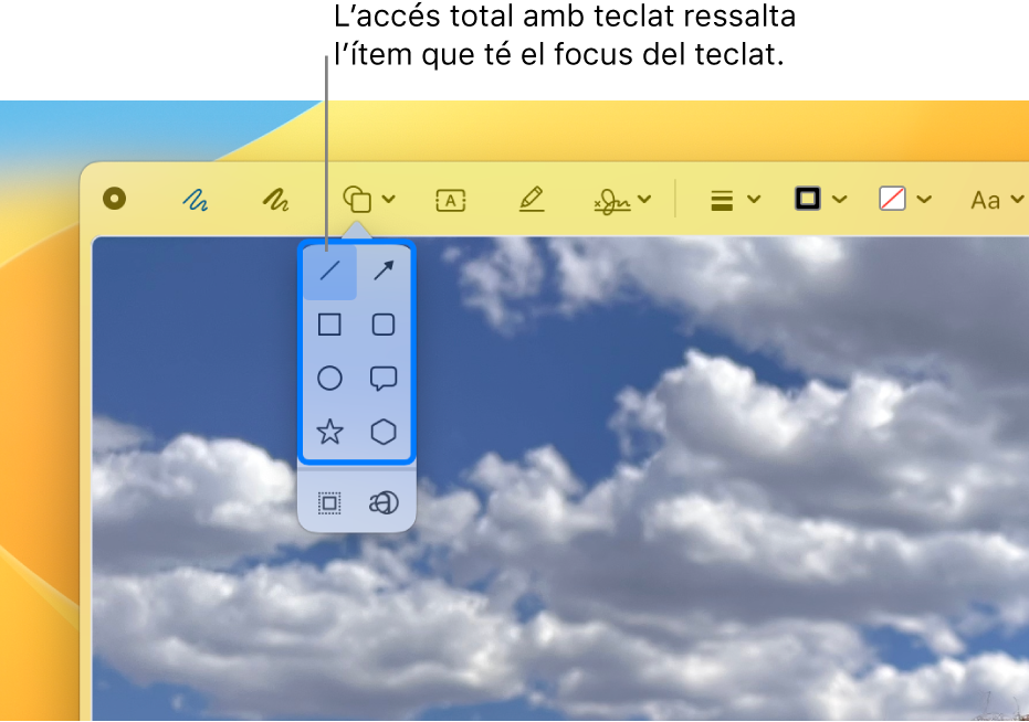 La finestra de vista ràpida, on es mostra la barra d’eines de marques. L’eina Formes està expandida i mostra les opcions. La funció “Accés total amb teclat” ha marcat el contorn de l’eina que té el focus i el grup que la conté.