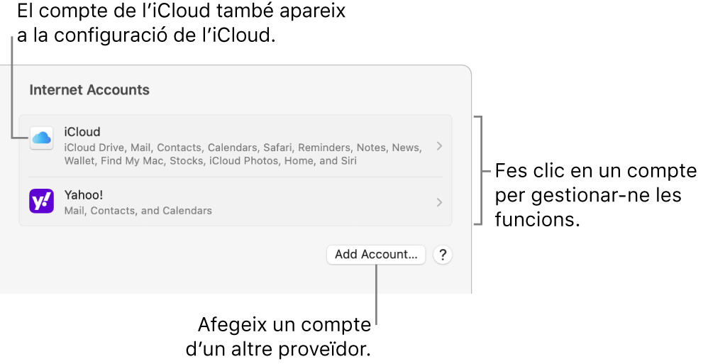 La configuració dels comptes d’internet amb una llista dels comptes configurats al Mac.