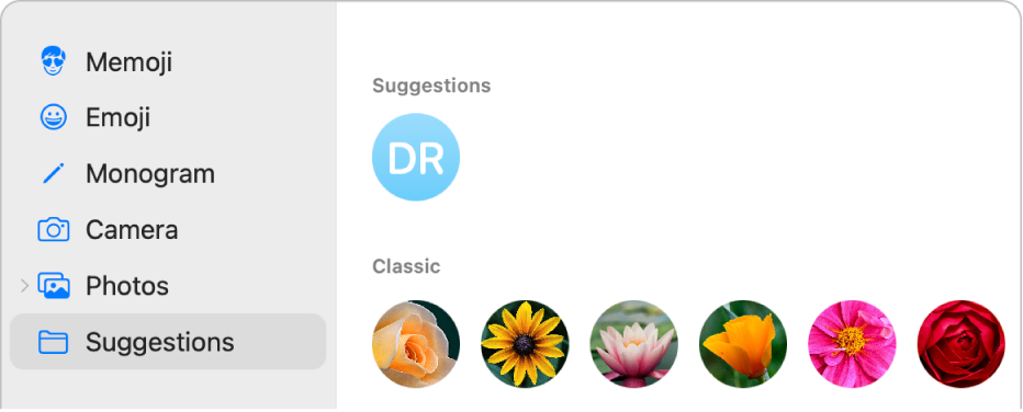 Das Dialogfenster für das Apple-ID-Bild mit ausgewählter Option „Vorschläge“ in der Seitenleiste und vorgeschlagenen Bilder auf der rechten Seite.