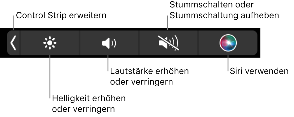 Der reduzierte Control Strip mit Tasten (von links nach rechts) zum Erweitern des Control Strip, Erhöhen oder Reduzieren von Bildschirmhelligkeit und Lautstärke, Aktivieren oder Deaktivieren der Stummschaltung und Verwenden von Siri.