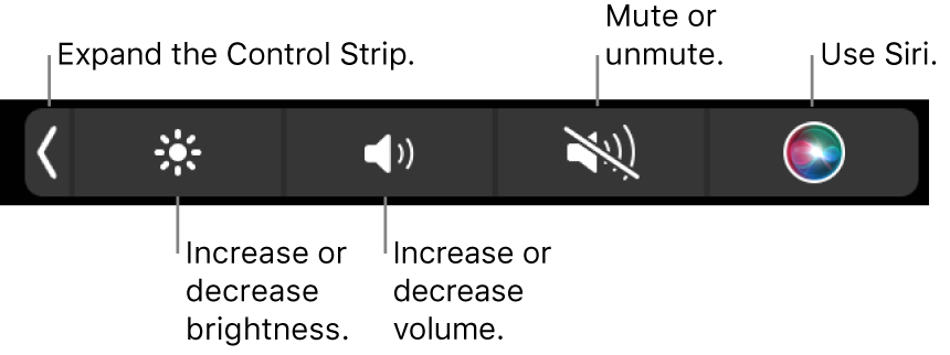 The collapsed Control Strip includes buttons — from left to right — to expand the Control Strip, increase or decrease display brightness and volume, mute or unmute and use Siri.