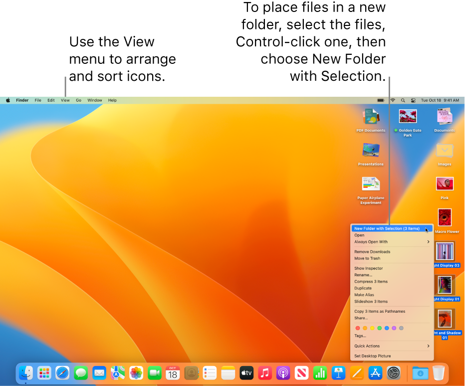 A desktop showing files and folders. Several files are selected to be placed in a new folder. A Control-click of a selected file shows a pop-up menu and New Folder with Selection is chosen.