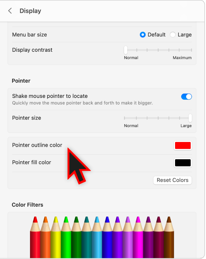 Accessibility Display settings showing a large pointer with a custom outline colour.