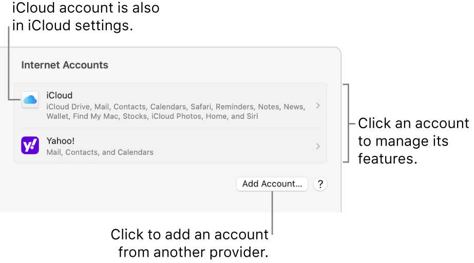 Internet Accounts settings with accounts that are set up on the Mac listed.