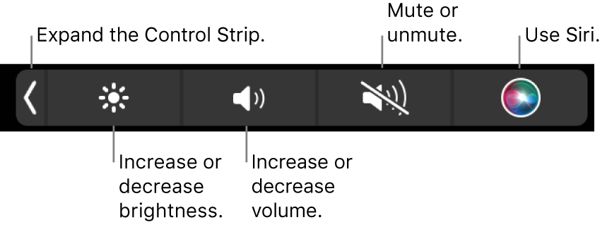 The collapsed Control Strip includes buttons — from left to right — to expand the Control Strip, increase or decrease display brightness and volume, mute or unmute, and use Siri.