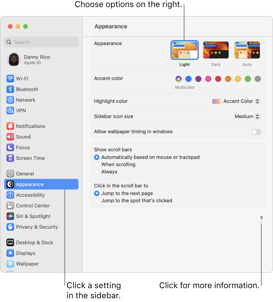 The System Settings window, with Appearance settings selected in the sidebar and Appearance options on the right.