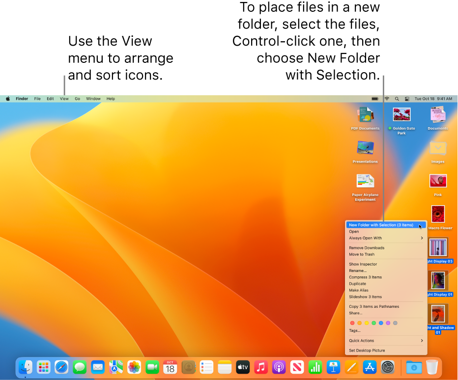 A desktop showing files and folders. Several files are selected to be placed in a new folder. A Control-click of a selected file shows a pop-up menu, and New Folder with Selection is chosen.