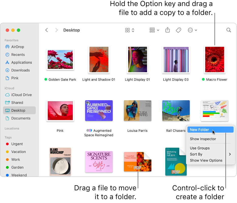 Indrukwekkend Mentaliteit Snooze Organize files in folders on Mac - Apple Support (SG)