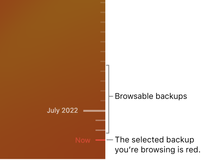 Tick marks in the backup timeline. The red tick mark indicates the backup you’re browsing.