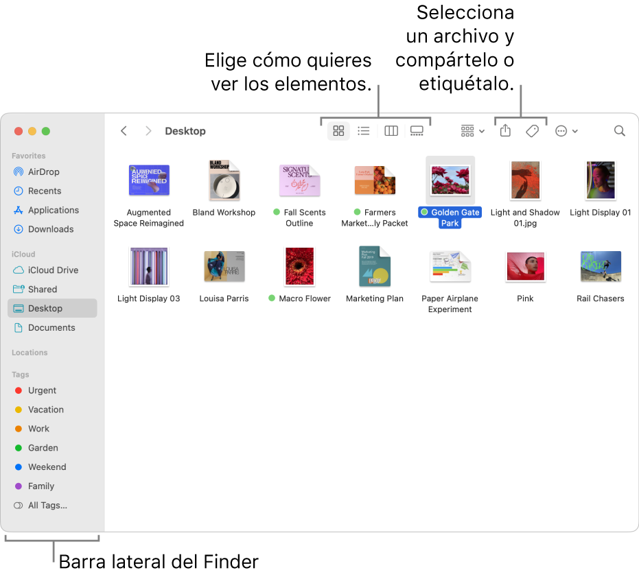 Una ventana del Finder con la barra lateral del Finder a la izquierda. En la parte superior de la ventana, hay cuatro botones que cambian la forma en que los elementos se muestran en la ventana, y botones adicionales para organizar y compartir los elementos.