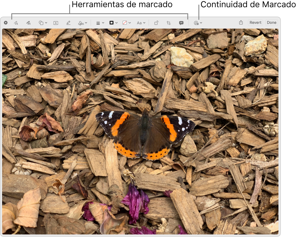 Una imagen en la ventana de Marcado mostrando la barra de herramientas de Marcado y el botón para usar Continuidad de Marcado en un iPhone o iPad cercano.