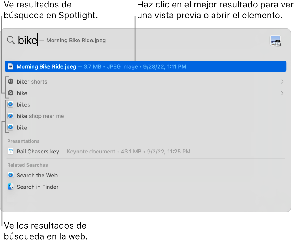 La ventana de Spotlight mostrando texto de búsqueda en el campo de búsqueda en la parte superior de la ventana, los resultados y sugerencias de búsqueda debajo.