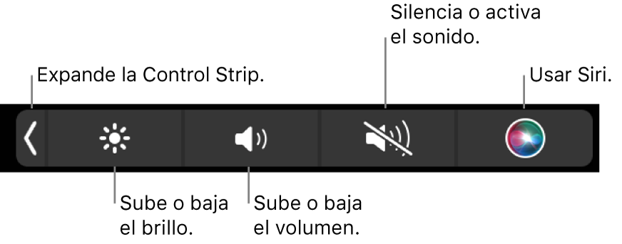 La Control Strip contraída incluye botones, de izquierda a derecha, para expandir la Control Strip, aumentar o reducir el brillo de la pantalla y el volumen, activar o desactivar el sonido, y utilizar Siri.