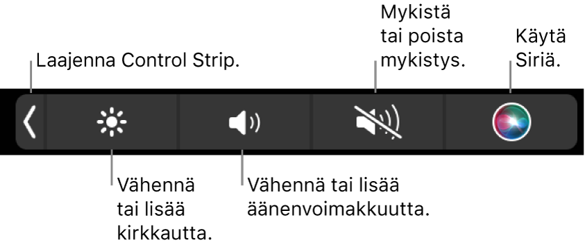 Pienennetyssä Control Stripissä on painikkeet, joilla voidaan (vasemmalta oikealle) laajentaa Control Strip, lisätä tai vähentää näytön kirkkautta ja äänenvoimakkuutta, mykistää tai poistaa mykistys sekä käyttää Siriä.