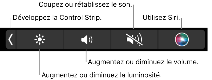 संघनित नियंत्रण पट्टी में बाएं से दाएं बटन शामिल हैं, नियंत्रण पट्टी को विकसित करने के लिए, स्क्रीन या वॉल्यूम की चमक को बढ़ाने या कम करने के लिए, ध्वनि को काटें या पुनर्स्थापित करें और सिरी का उपयोग करें।