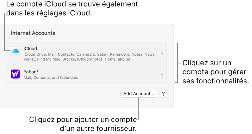 Les réglages « Comptes Internet » avec une liste des comptes configurés sur le Mac.