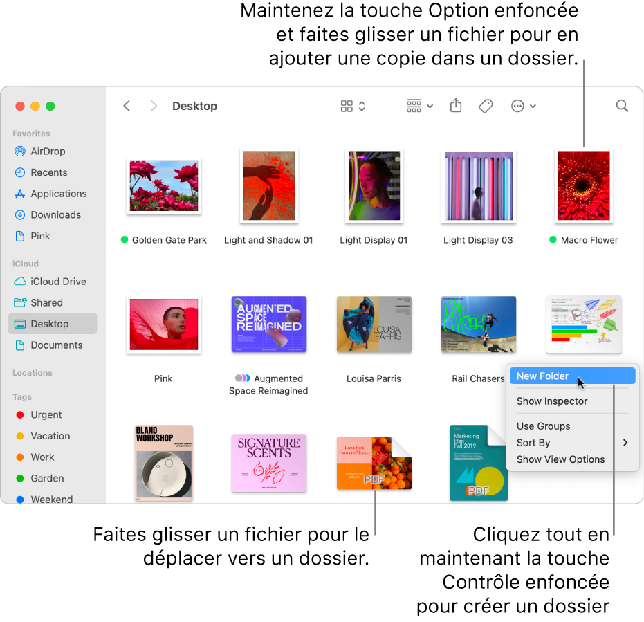 Une fenêtre du Finder contenant des fichiers et des dossiers. « Nouveau dossier » est surligné dans le menu contextuel.