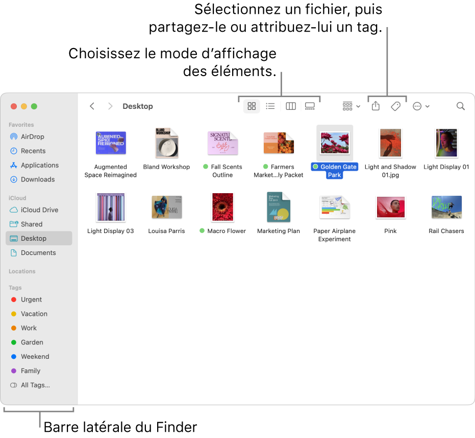 Une fenêtre du Finder avec la barre latérale du Finder sur la gauche. En haut de la fenêtre se trouvent quatre boutons qui modifient la présentation des éléments dans la fenêtre, ainsi que des boutons supplémentaires pour les organiser et les partager.