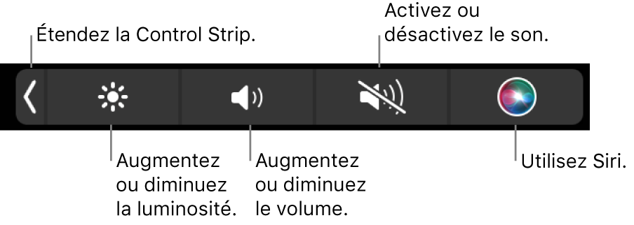 La Control Strip condensée comprend des boutons de gauche à droite, pour développer la Control Strip, augmenter ou baisser la luminosité de l’écran ou le volume, couper ou rétablir le son et utiliser Siri.