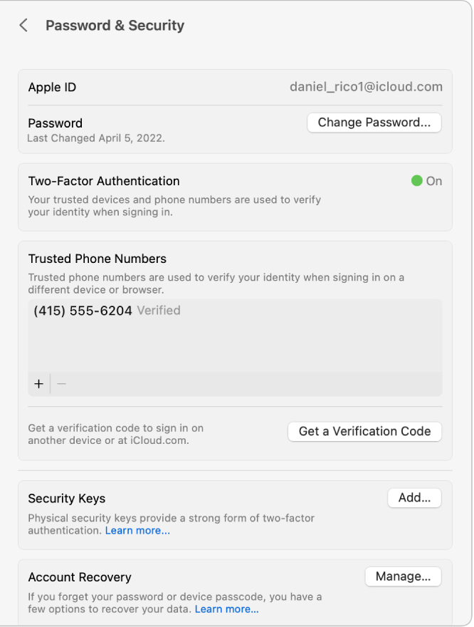 חלון של הגדרות Apple ID המציג את הגדרות ״סיסמה ואבטחה״ של חשבון קיים.