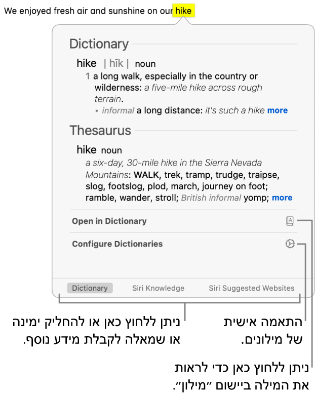 החלון ״חיפוש״ המציג הגדרות ״מילון״ ו״מילון מילים נרדפות (תזאורוס)״ עבור מילה.