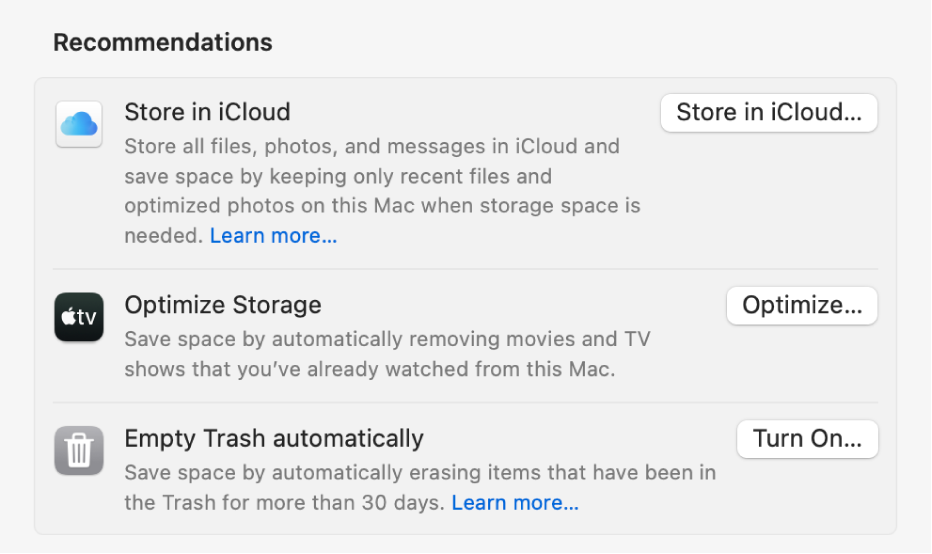 iCloud में संग्रहित करें, रद्दी को ऑटोमैटिकली ख़ाली करें और स्टोरेज ऑप्टिमाइज़ करें सहित विकल्पों के साथ स्टोरेज सेटिंग्ज़ में अनुशंसा सेक्शन।