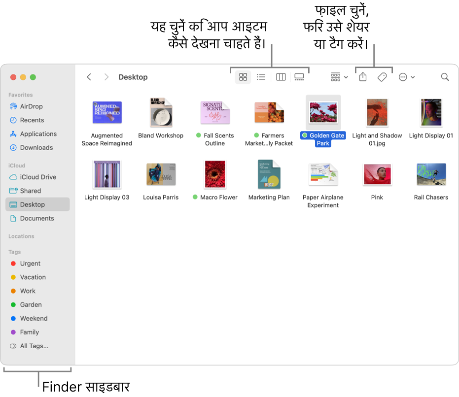 बाईं ओर Finder साइडबार के साथ Finder विंडो। विंडो के शीर्ष पर चार बटन हैं जो यह बदल देते हैं कि विंडो में आइटम किस तरह दिखते हैं और साथ ही आइटमों को व्यवस्थित और शेयर करने के लिए अतिरिक्त बटन होते हैं।