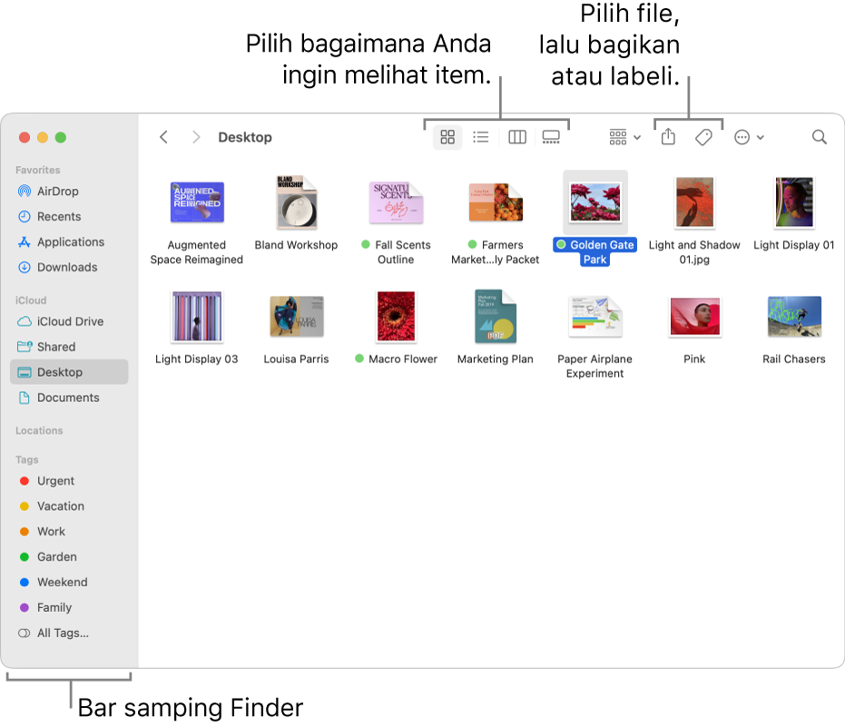 Jendela Finder dengan bar samping Finder di sebelah kiri. Di bagian atas jendela terdapat empat tombol yang mengubah cara item ditampilkan di jendela, dan tombol tambahan untuk mengatur dan membagikan item.