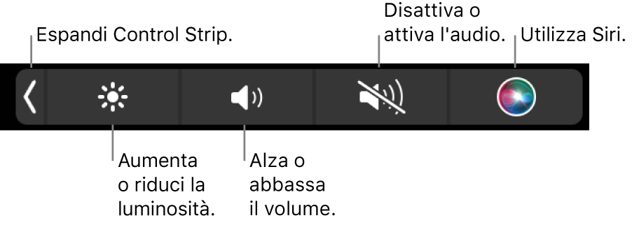 Quando è contratta, Control Strip include i pulsanti, da sinistra a destra, per espandere Control Strip, aumentare o diminuire la luminosità dello schermo e il volume, disattivare o attivare i suoni e utilizzare Siri.