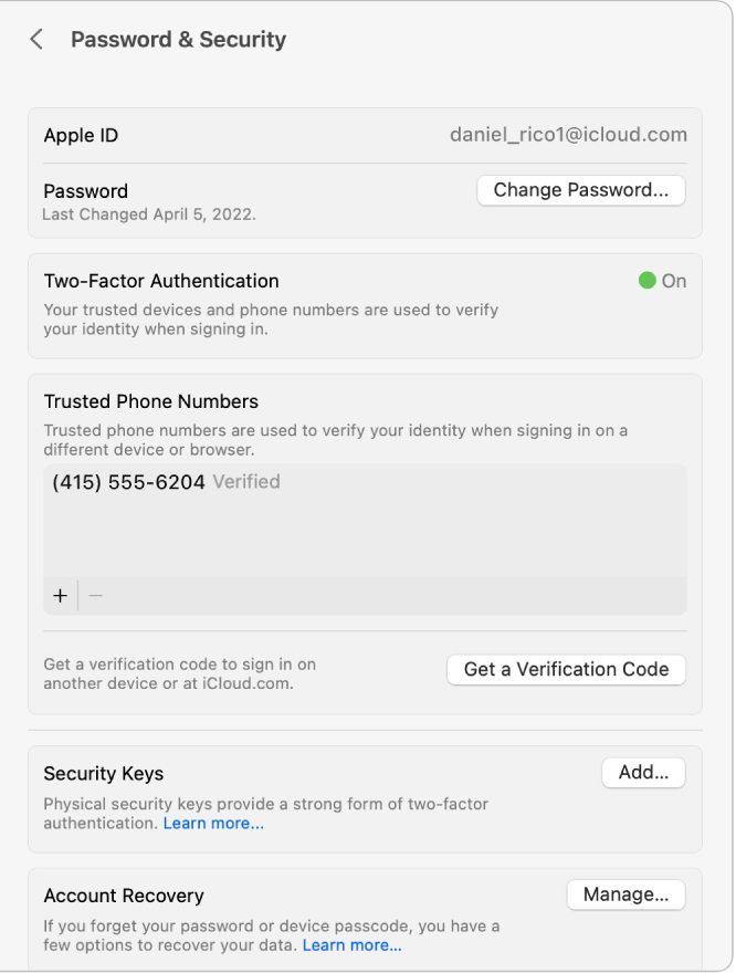 「Apple ID」設定。既存のアカウントの「パスワードとセキュリティ」設定が表示されています。