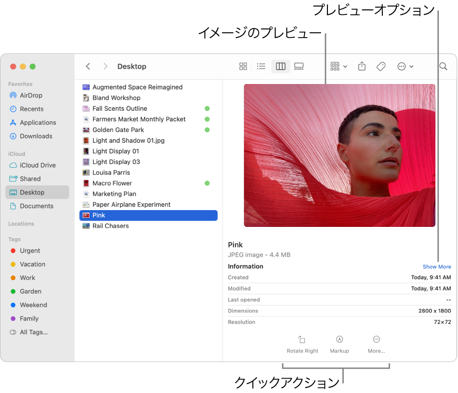 Finderのウインドウ。ウインドウの左側にFinderのサイドバー、中央に選択したイメージファイルが表示されています。右側では、プレビューパネルにイメージの外観、その下にイメージの詳細、下部に「クイックアクション」ボタンが表示されています。
