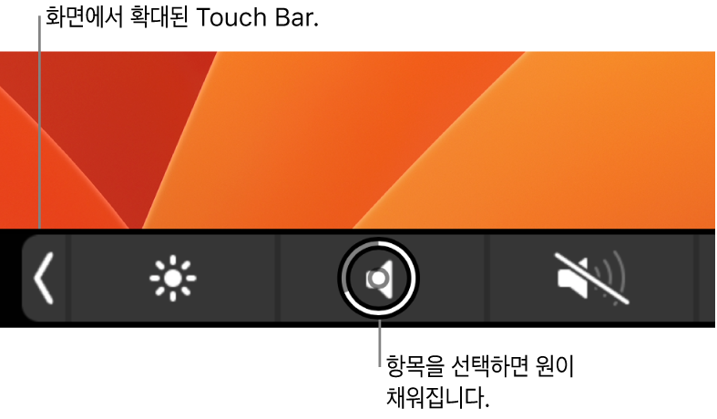 화면 하단의 확대된 Touch Bar 버튼을 선택하면 버튼 위의 원이 채워짐.