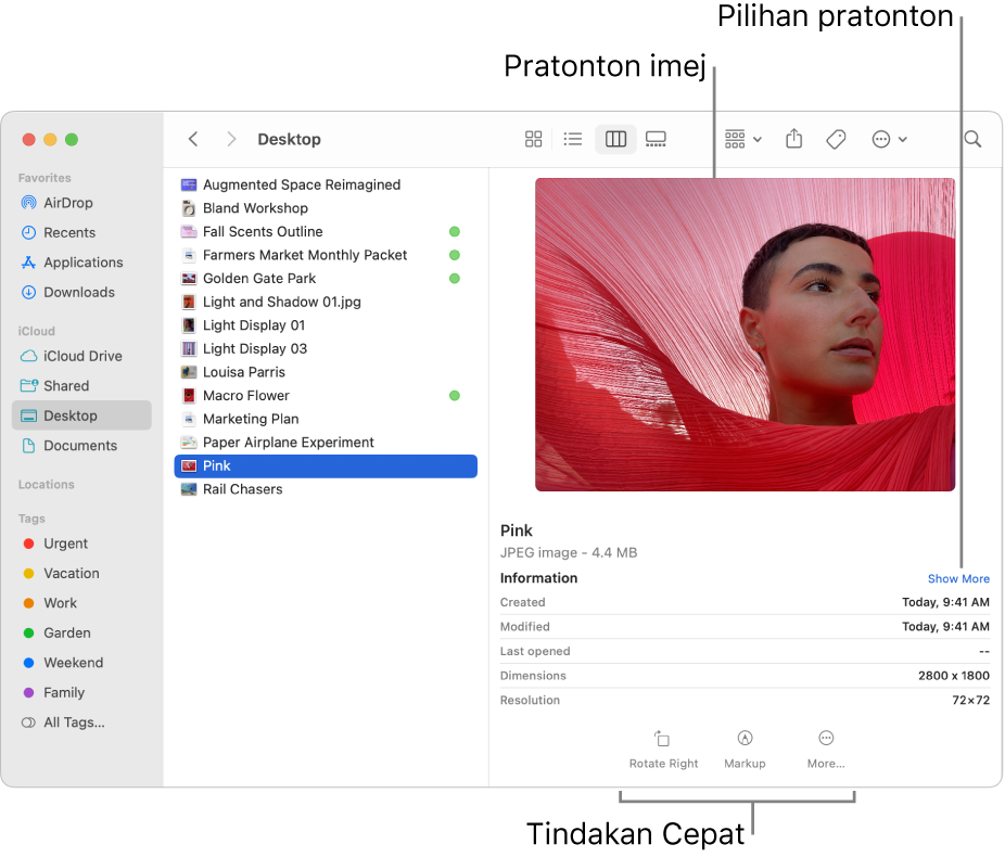 Tetingkap Finder menunjukkan bar sisi Finder di sebelah kiri dan fail imej dipilih di bahagian tengah tetingkap. Di sebelah kanan, anak tetingkap Pratonton menunjukkan rupa imej, dengan butiran imej di bawahnya dan butang Tindakan Cepat di bahagian bawah.