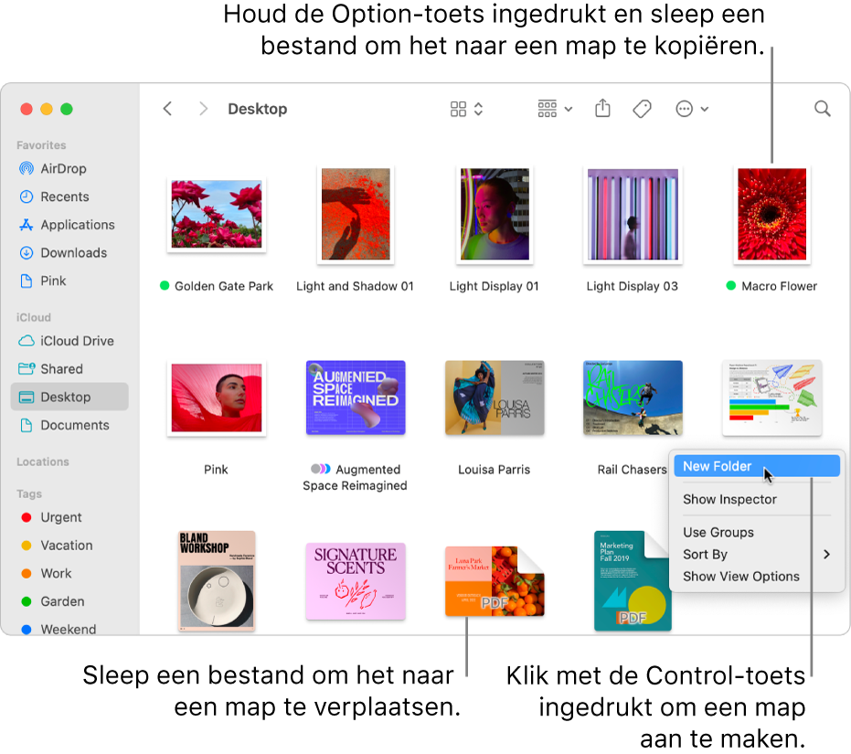 natuurlijk En Souvenir Bestanden in mappen ordenen op de Mac - Apple Support (NL)