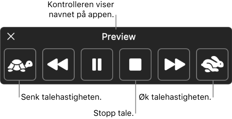 Kontrolleren på skjermen som kan vises når Macen leser opp markert tekst. Kontrolleren har seks knapper der du, fra venstre til høyre, kan redusere talehastigheten, hoppe bakover én setning, spille av opplesingen eller stoppe opplesingen midlertidig, stoppe opplesingen, hoppe framover i én setning og øke talehastigheten. Navnet på appen vises øverst på kontrolleren.