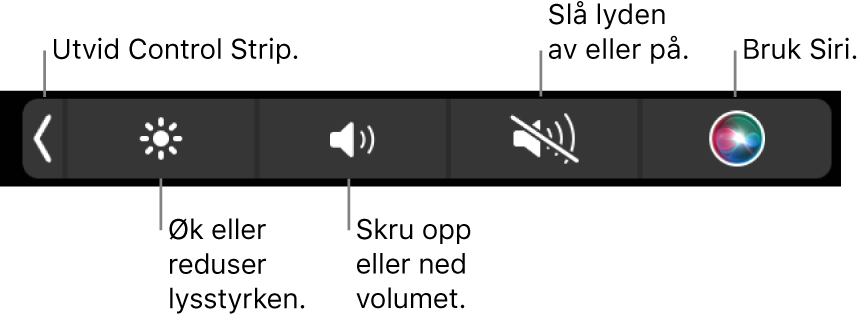 Når Control Strip er minimert, inneholder den knapper, fra venstre mot høyre, for å utvide Control Strip, øke eller redusere lysstyrke og volum, slå lyden av eller på og bruke Siri.