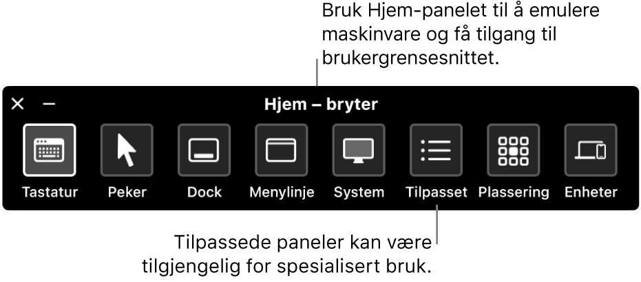 Hjem-panelet for Bryterkontroll inneholder – fra venstre til høyre – knapper til å styre tastatur, peker, Dock, menylinje, systemkontroller, tilpassede paneler, skjermplassering og andre enheter.